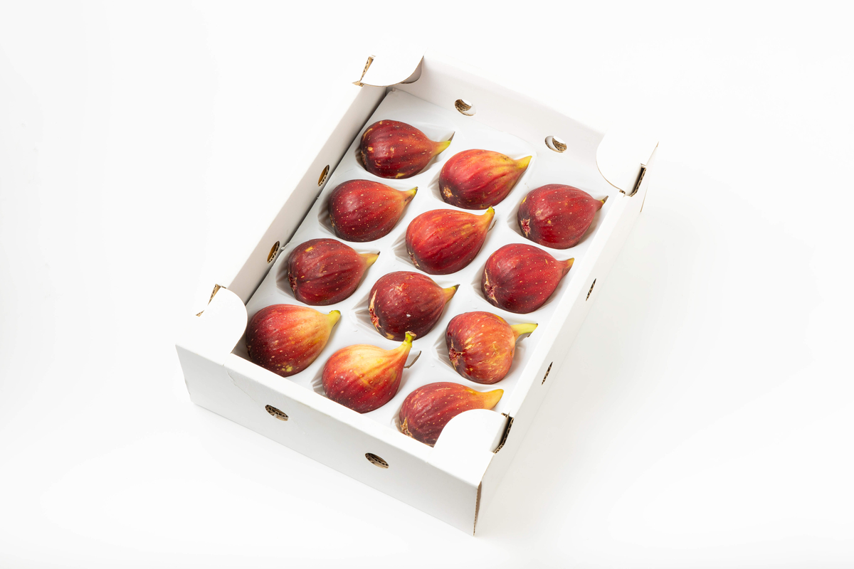 濵田農場の完熟いちじく 12粒入 贈答用 約1㎏ | 濱田農場